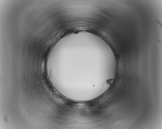 X0000099520406200806051216