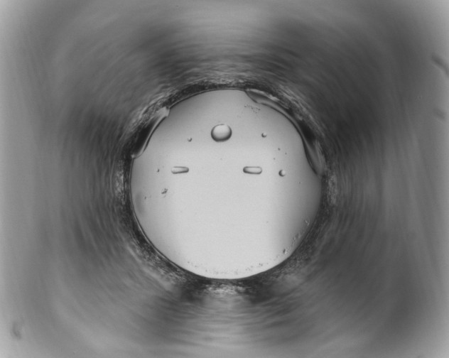 X0000099520407200806051216