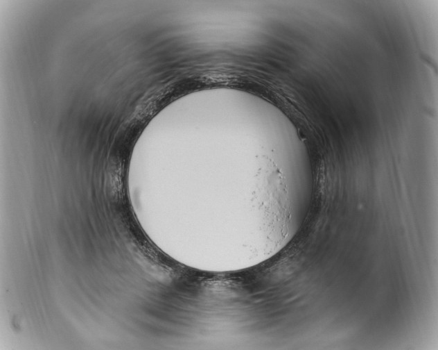 X0000099520408200806051216