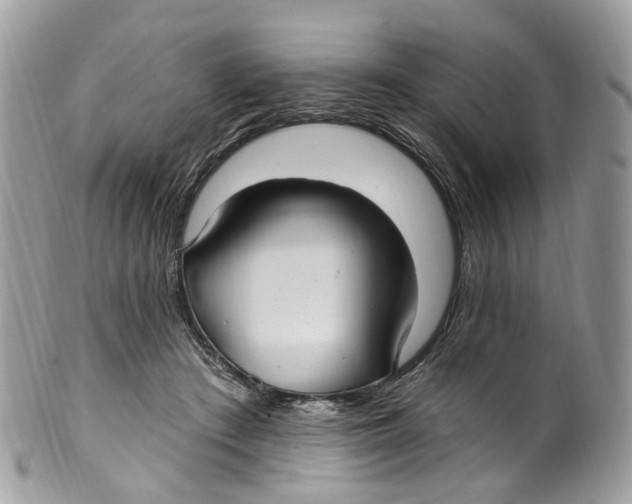 X0000099520409200806051216