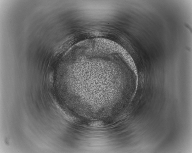 X0000099520410200806051216