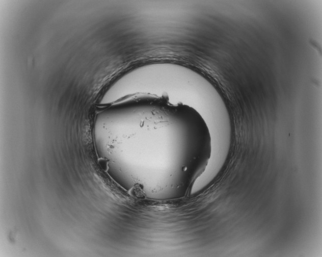 X0000099520411200806051216