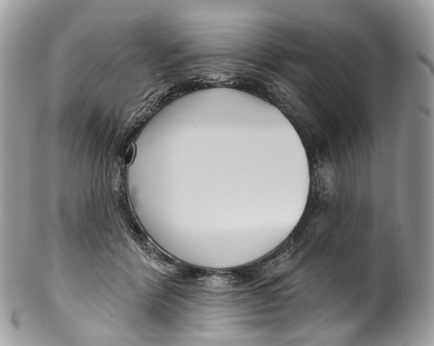 X0000099520412200806051216