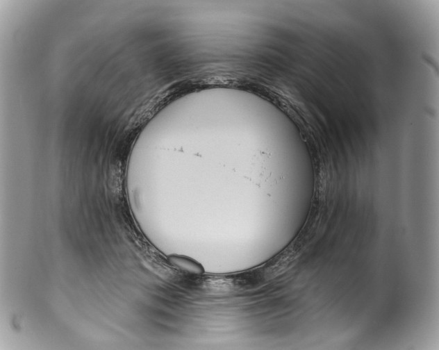 X0000099520413200806051216