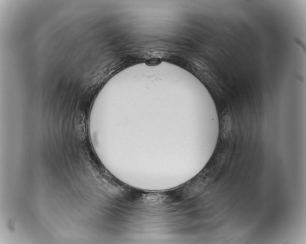 X0000099520414200806051216