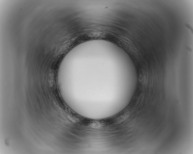 X0000099520416200806051216