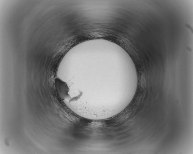 X0000099520418200806051216