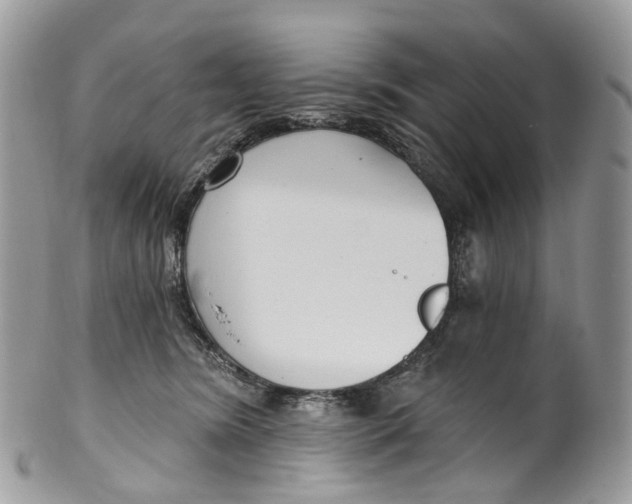 X0000099520420200806051216