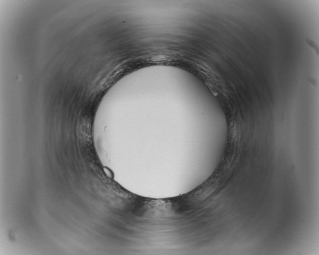 X0000099520421200806051216