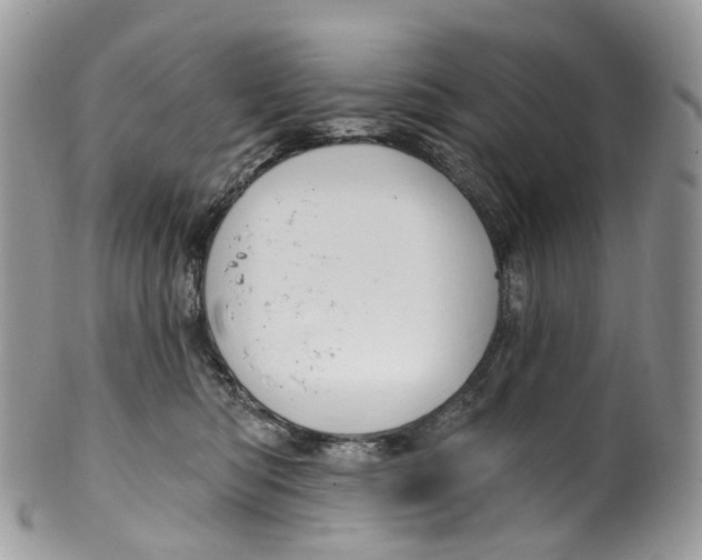 X0000099520422200806051216