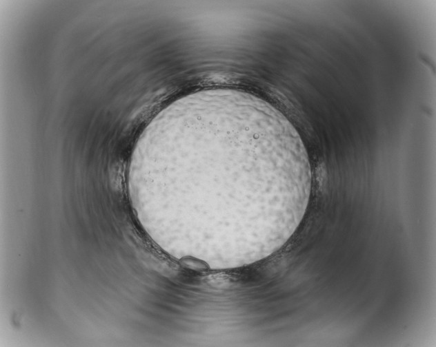 X0000099520423200806051216