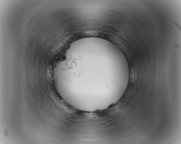 X0000099520424200806051216