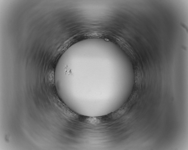 X0000099520425200806051216