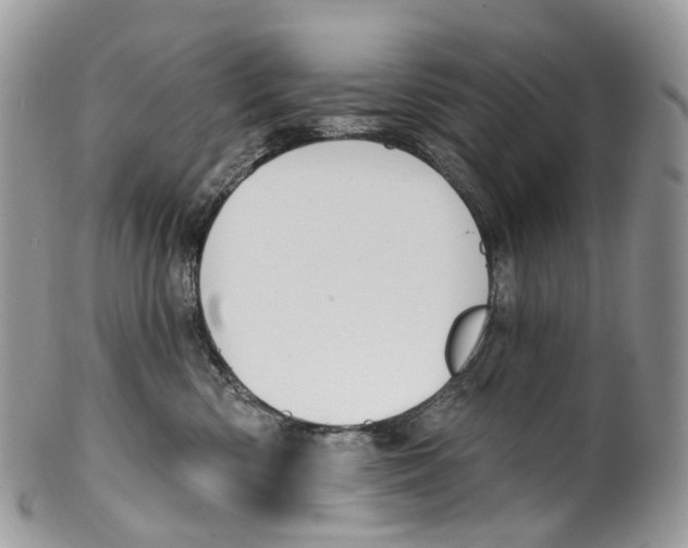 X0000099520426200806051216