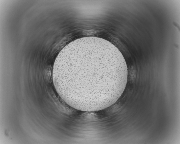 X0000099520427200806051215