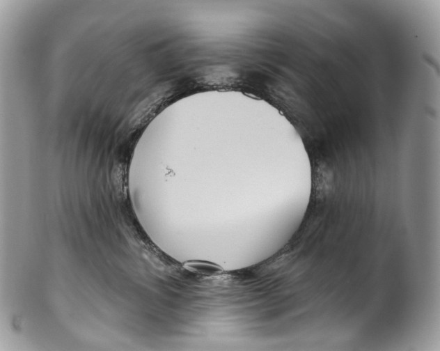 X0000099520428200806051215