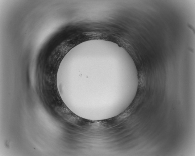 X0000099520430200806051215