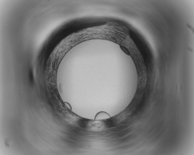 X0000099520431200806051215