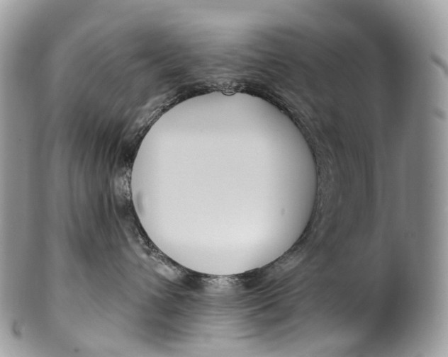 X0000099520432200806051215