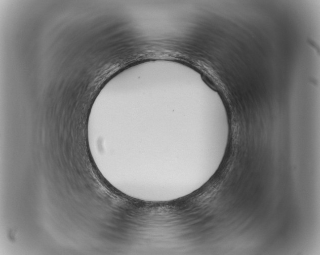 X0000099520433200806051215