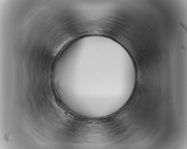 X0000099520434200806051215