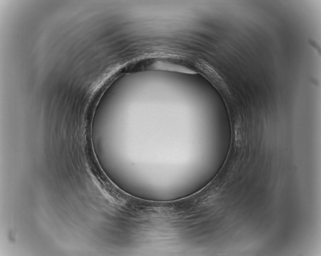 X0000099520436200806051215