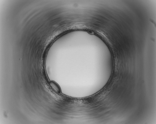 X0000099520439200806051215