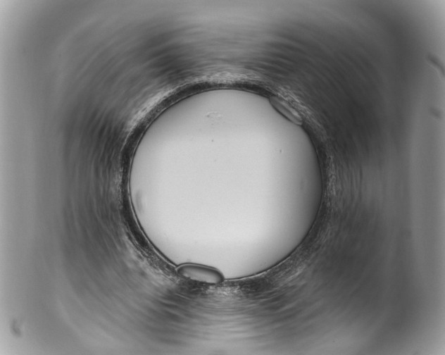 X0000099520440200806051215