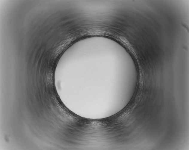 X0000099520441200806051215