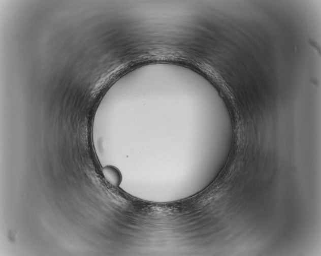 X0000099520442200806051215