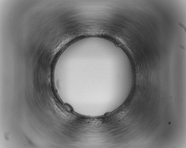 X0000099520443200806051215