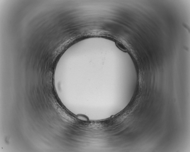 X0000099520445200806051215