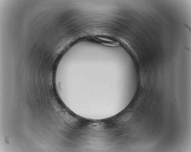 X0000099520447200806051215