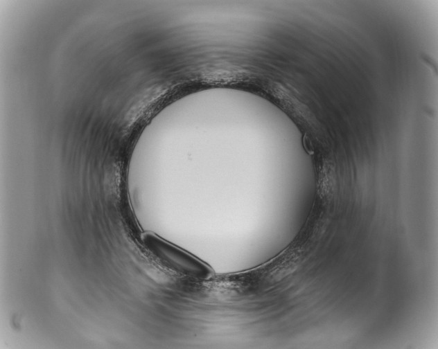 X0000099520448200806051215