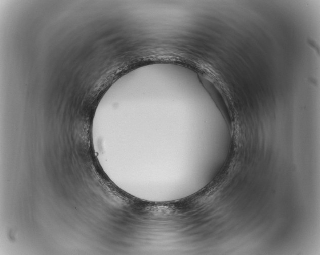 X0000099520449200806051215