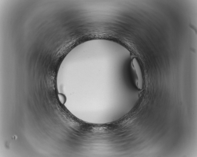 X0000099520450200806051215