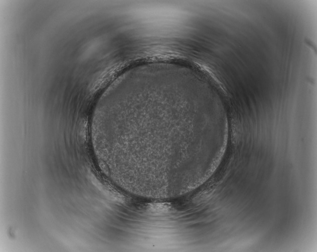 X0000099520451200806051215