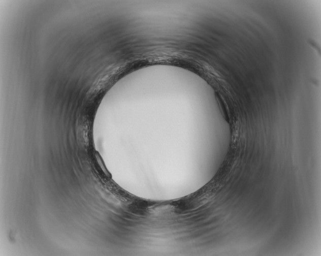 X0000099520452200806051215