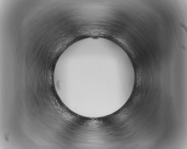 X0000099520453200806051215