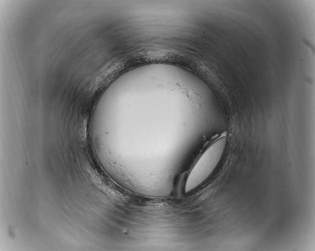 X0000099520454200806051215