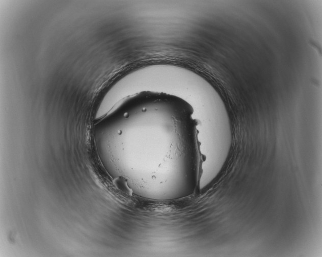 X0000099520456200806051215