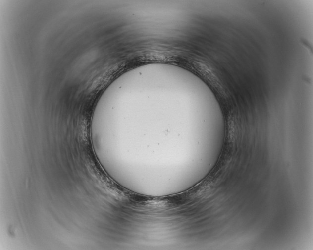 X0000099520457200806051215