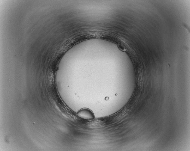 X0000099520459200806051215