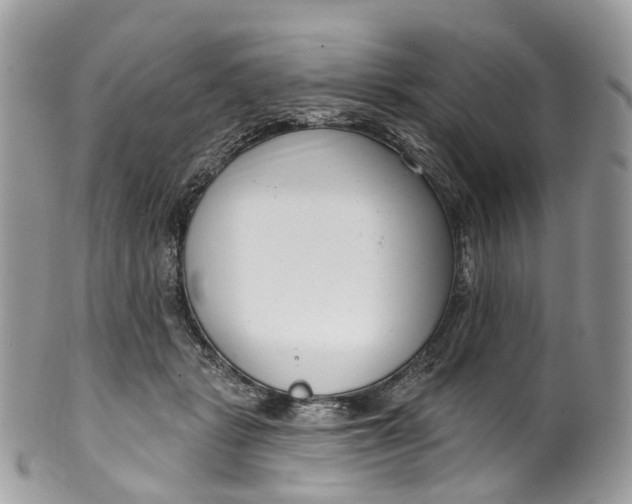 X0000099520461200806051215