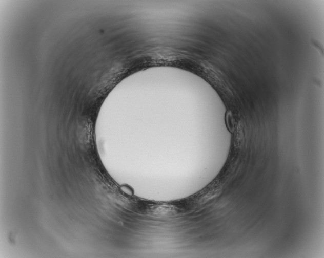 X0000099520463200806051215