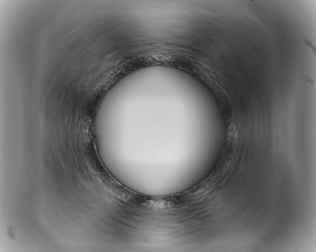 X0000099520464200806051215