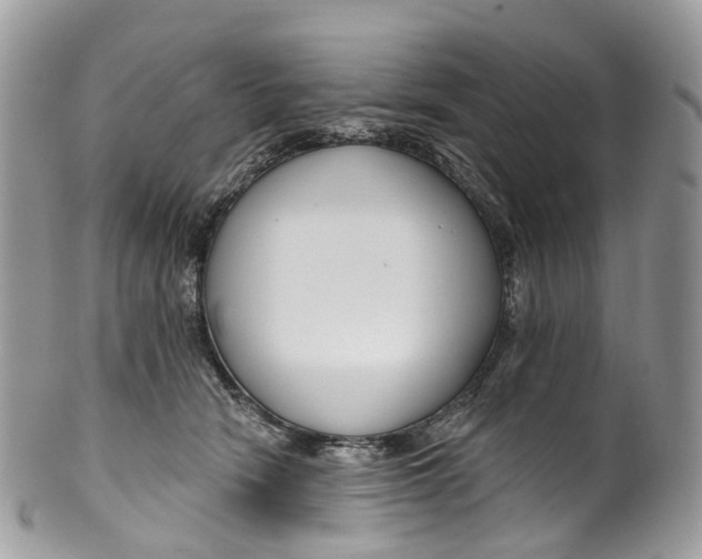 X0000099520466200806051215