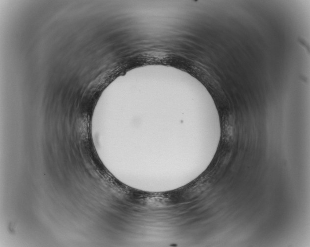 X0000099520468200806051215