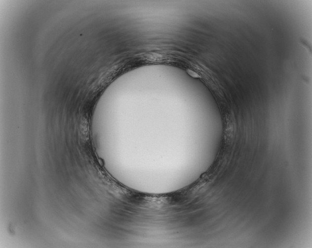 X0000099520469200806051215