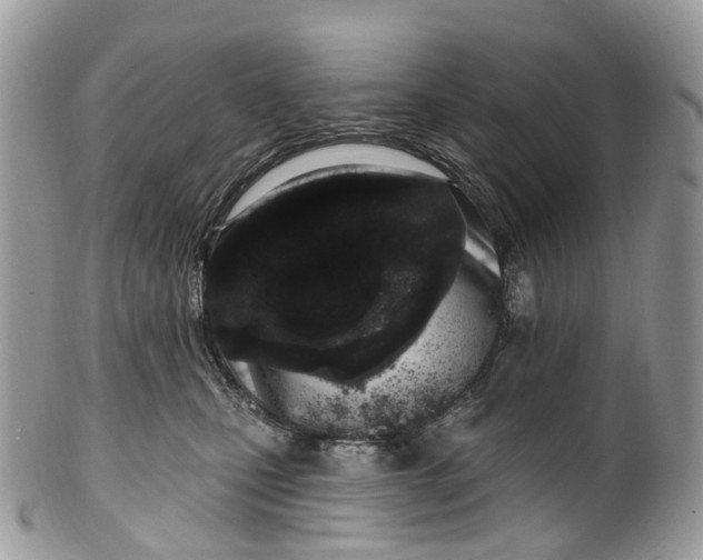 X0000099520471200806051215